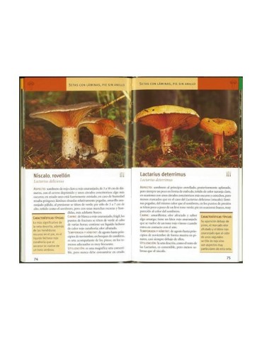 Champignons - Mini guide de poche 2