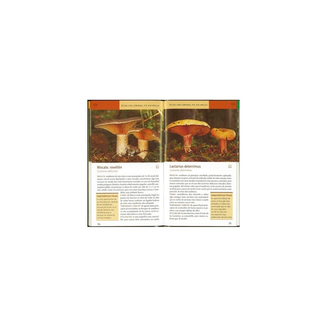 Mushrooms - Mini pocket guide