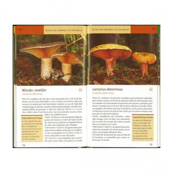 Mushrooms - Mini pocket guide