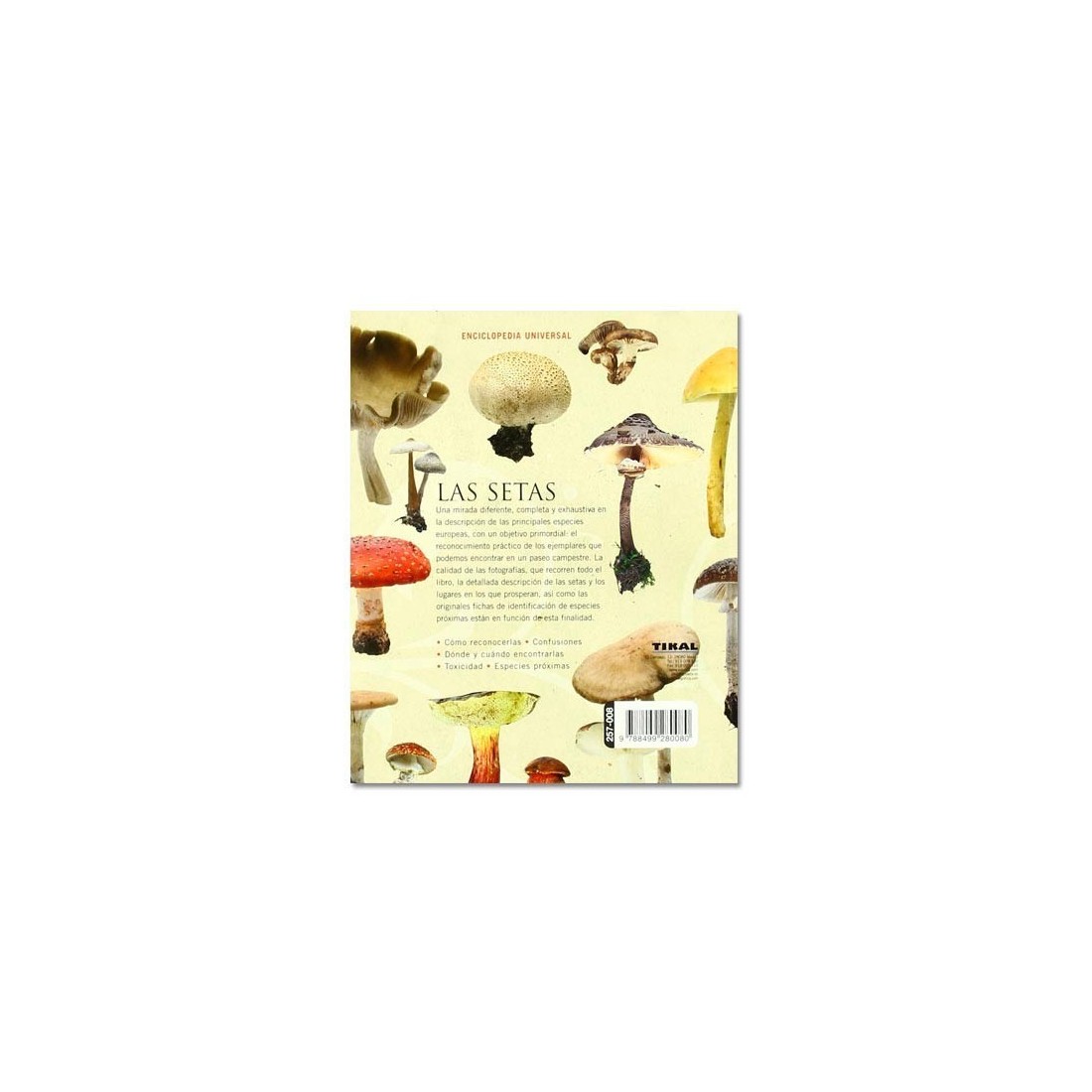 Champignons (Encyclopédie universelle)