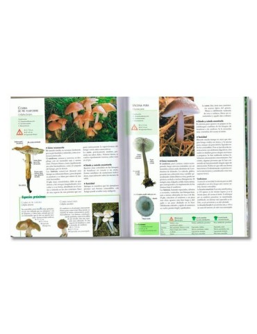 Enciclopedia Funghi con 1000 Foto - Guida Micologica... 2