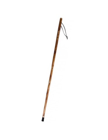 Bâton de marche pliable en bois 2
