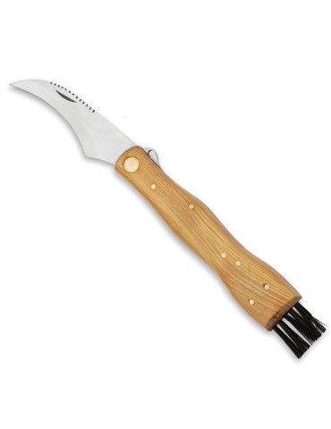 Teak wood knife with brush