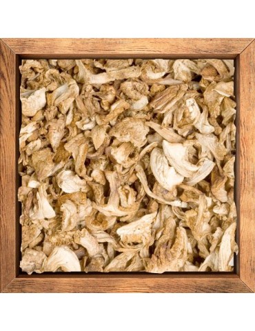 Perrechico deshidratado 2