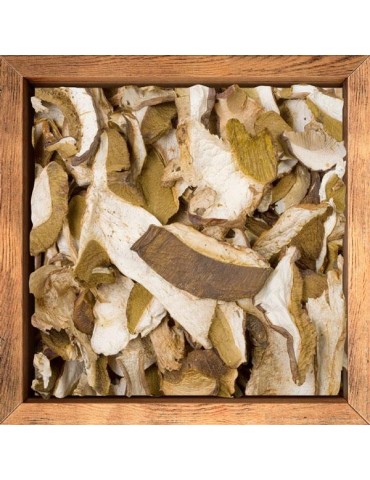 Boletus deshidratado