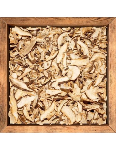 Shiitake deshidratado 2