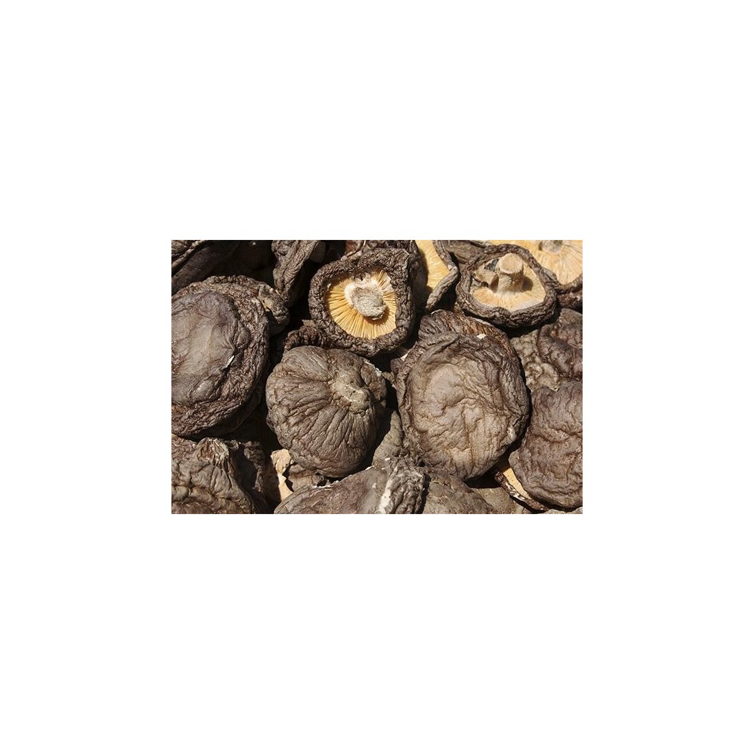 Dehydrated shiitake