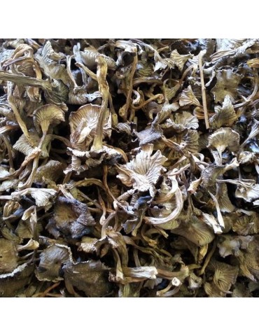 Trompeta gris deshidratada - Canthrellus tubaeformis