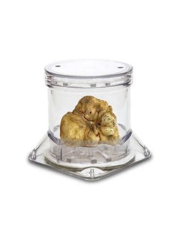 Contenedor expositor para trufa TUBERPACK 2