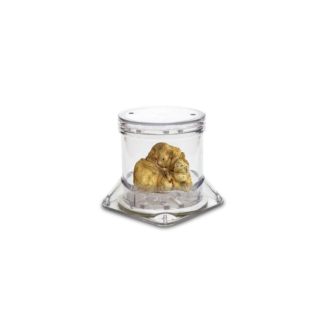 Display container for truffle TUBERPACK