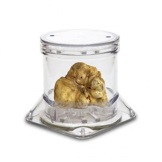 Display container for truffle TUBERPACK