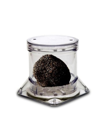 Display container for truffle TUBERPACK