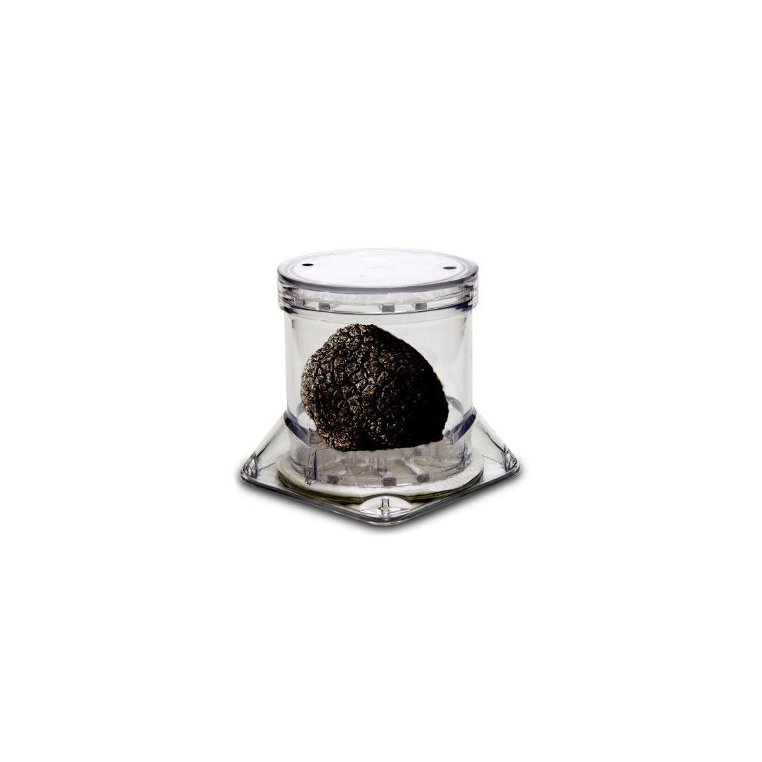 Display container for truffle TUBERPACK Display container for truffle TUBERPACK