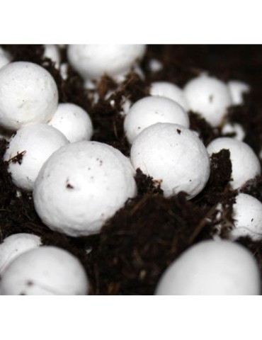 Paris Mushroom Alpaca 17kg - Grow Up to 4kg Fresh Mushrooms 2