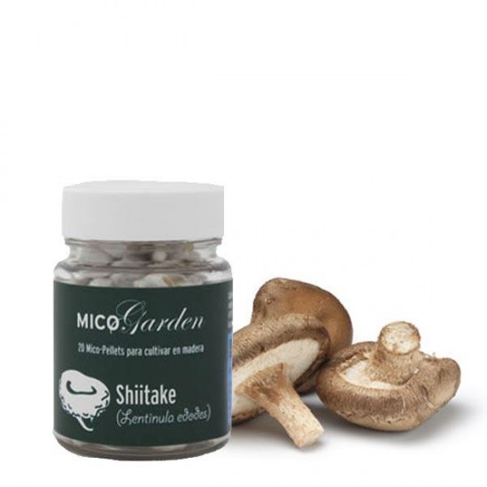 Mycelium in pellets for Shiitake cultivation