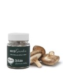 Micelio en pellets para cultivar de Shiitake