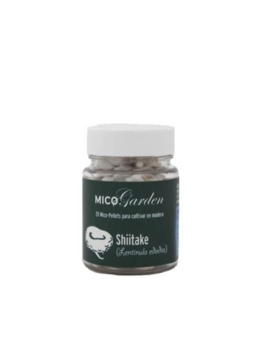 Micelio en pellets para cultivar de Shiitake 2