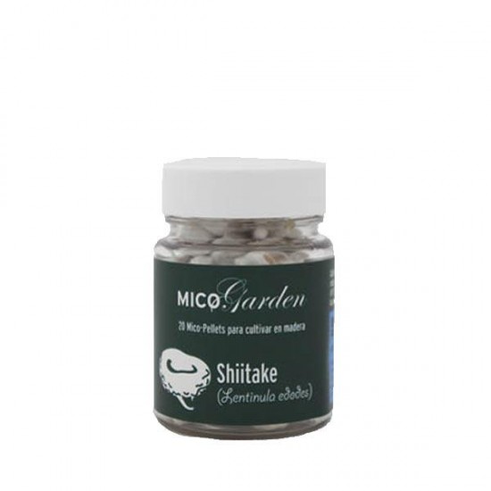 Micelio en pellets para cultivar de Shiitake