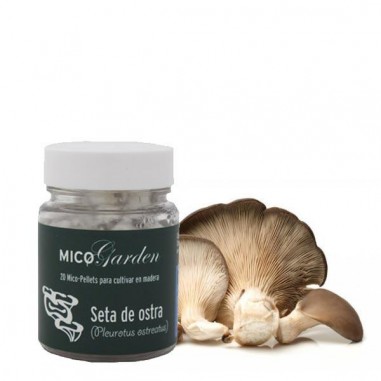 Micelio en pellets para cultivar Seta de ostra