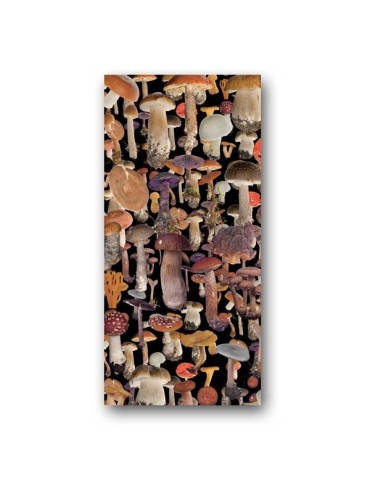 Braga para cuello Funghi 2