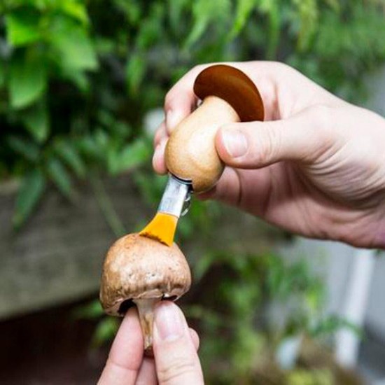 Mushroom Tool