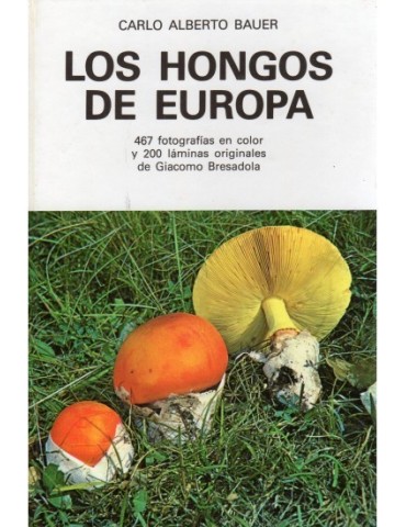 THE FUNGI OF EUROPE, Bauer 2