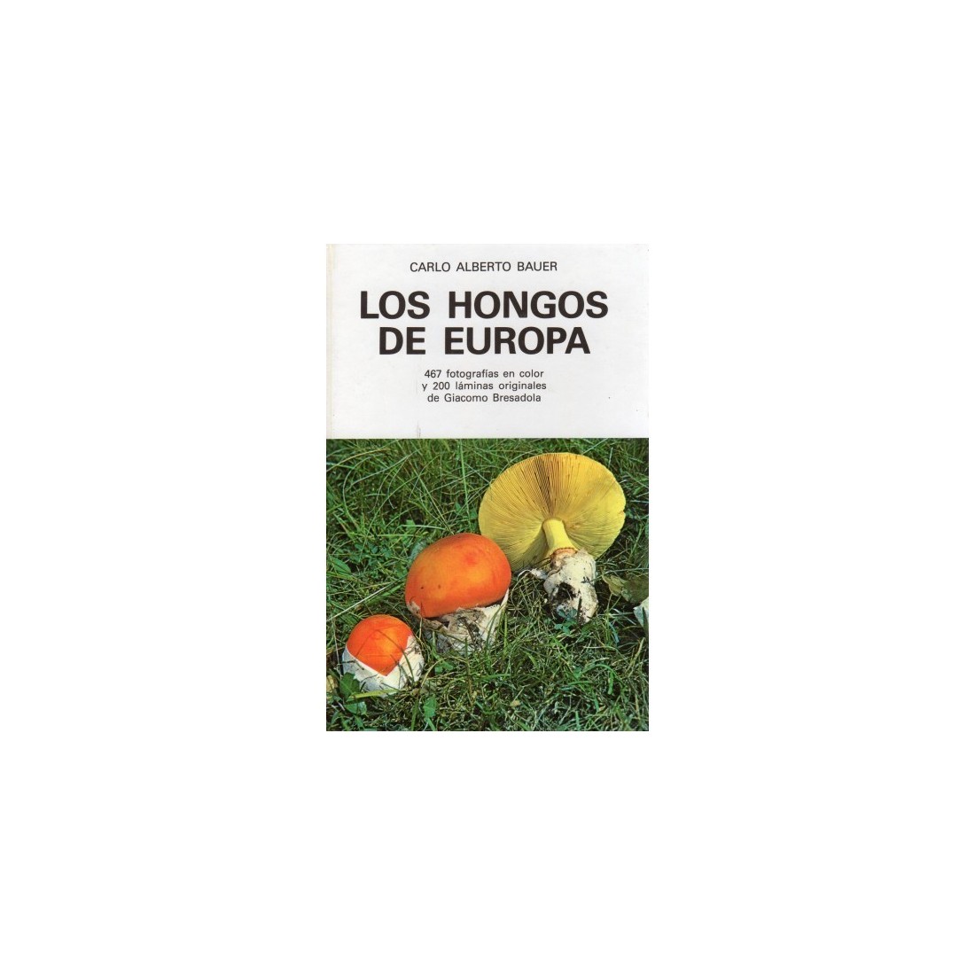 LOS HONGOS DE EUROPA, Bauer