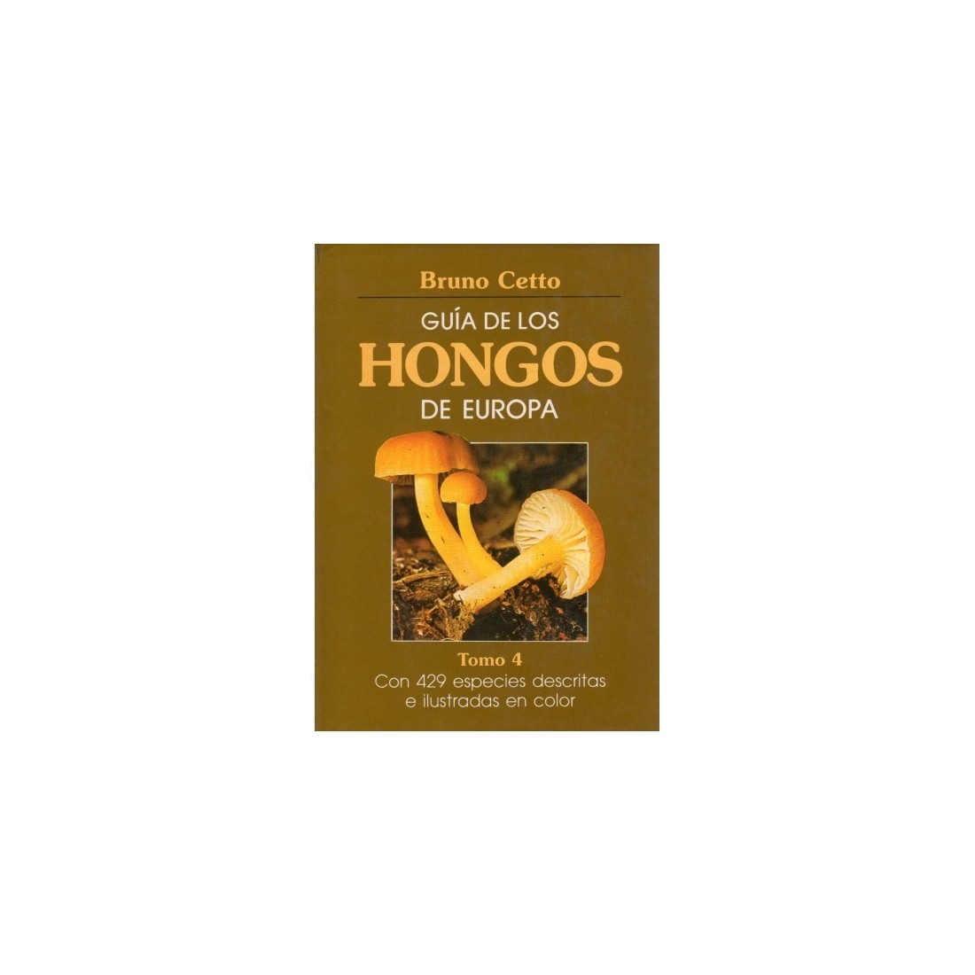 GUIDE DES CHAMPIGNONS D'EUROPE. VOLUME IV B. Cetto