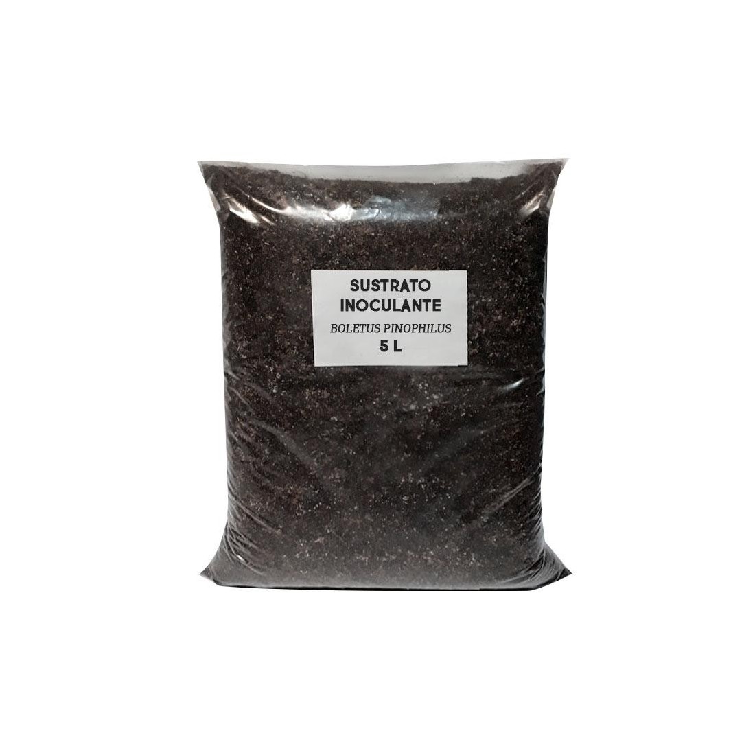Support inoculant substrat Boletus pinophilus
