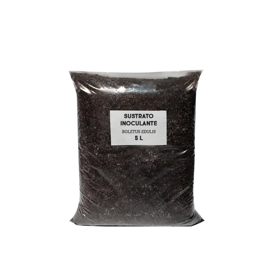 Support inoculant substrate Boletus edulis
