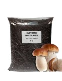 Sustrato inoculante de apoyo Boletus edulis