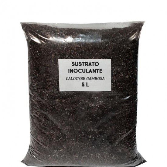Perrechico inoculant support substrate
