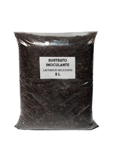Substrat inoculant pour le support Níscalo 2