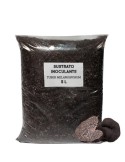 Sustrato inoculante de apoyo Tuber melanosporum