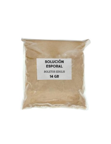 Sporal support solution - Boletus edulis 2