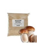 Solución esporal de apoyo - Boletus edulis