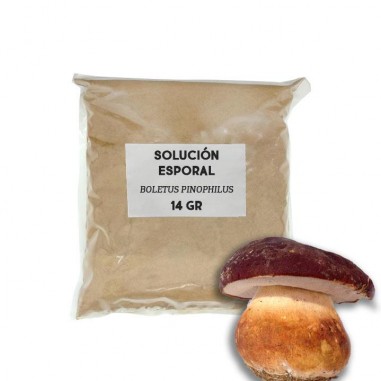 Sporal support solution - Boletus pinicola