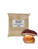 Solución esporal de apoyo - Boletus pinicola