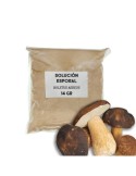 Solución esporal de apoyo - Boletus aereus