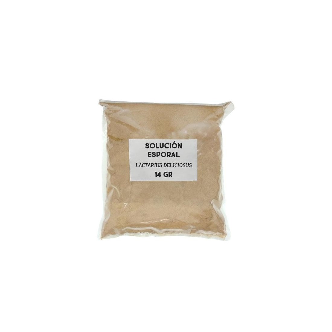 Solución esporal de apoyo - Lactarius deliciosus