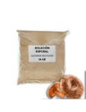 Solución esporal de apoyo - Lactarius deliciosus