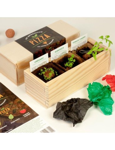 Pizza Growing Kit 2