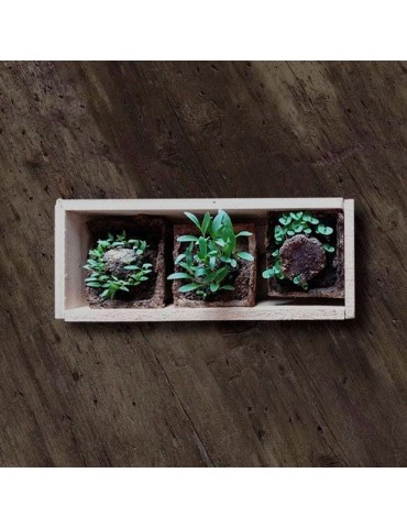 Gourmet Cultivation Kit 2