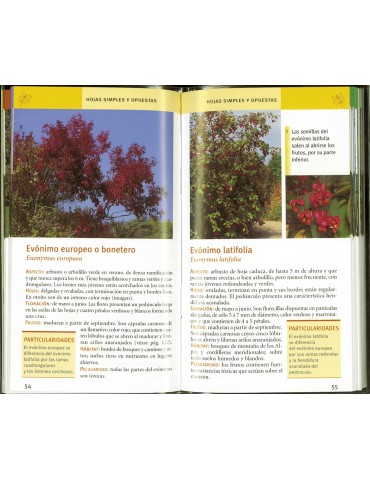 Guide d'identification des arbres espagnols - Mini guide... 2