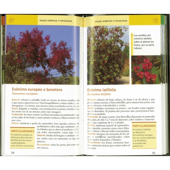 Trees of Spain, mini-guide