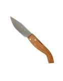 Pedrajas small holm oak barrelled pocketknife