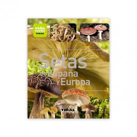 Mushrooms of Spain and Europe