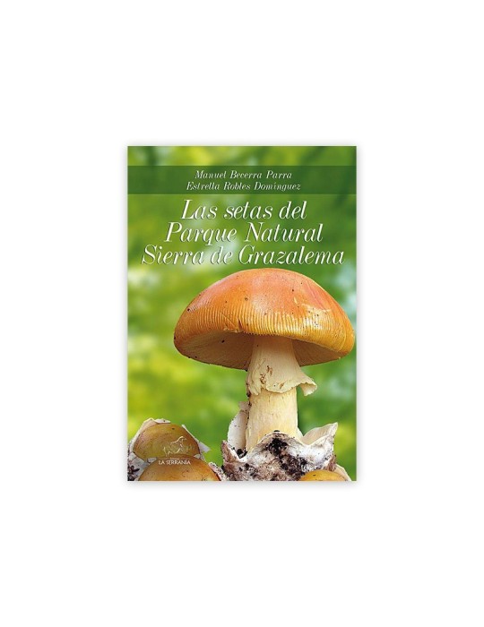 Champignons dans le parc naturel de la Sierra de Grazalema