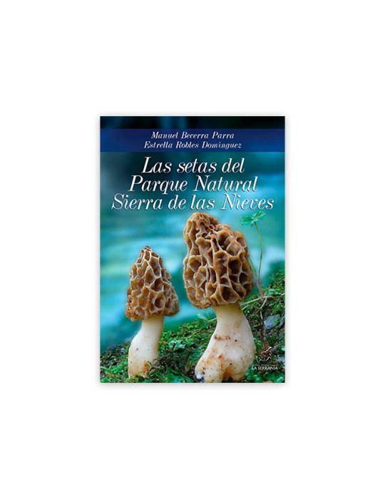 Mushrooms in the Sierra de las Nieves Natural Park