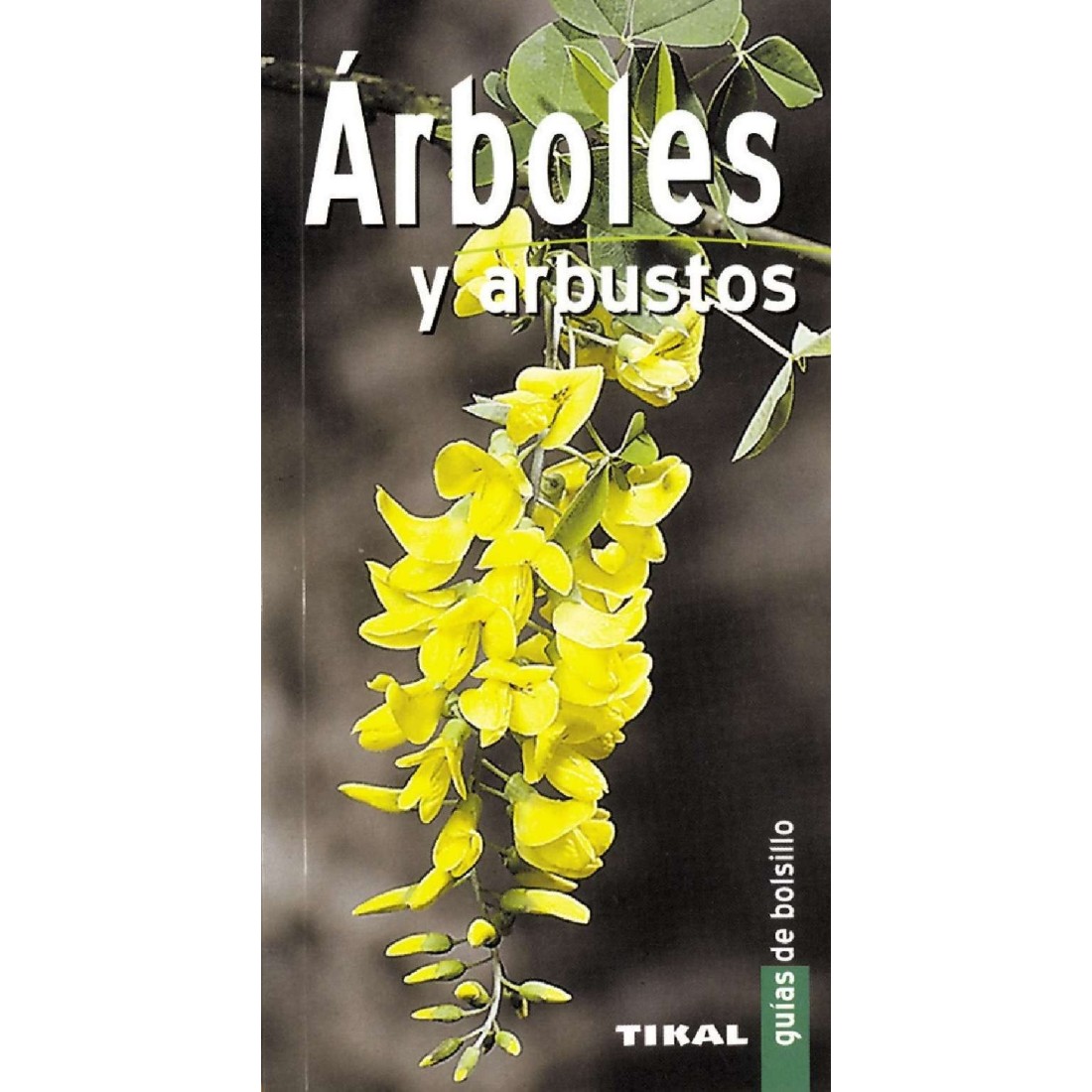 Árboles y arbustos Árboles y arbustos